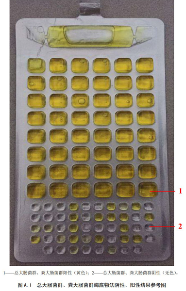 總大腸菌群、糞大腸菌群酶底物法陰性、陽性結(jié)果參考圖